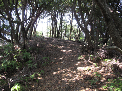 20140426hike (43)